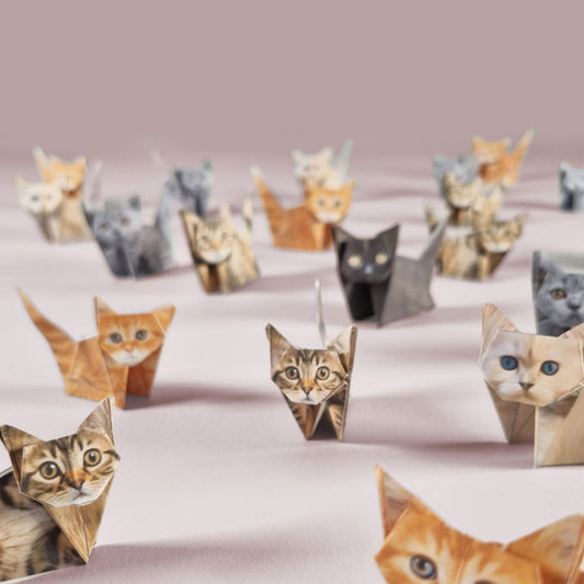 Paper Desk Pets Origami Kit: Fold-Your-Own Cats, Dogs, Cows, Dinos