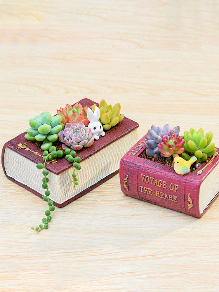 Book-shaped resin planters with succulents