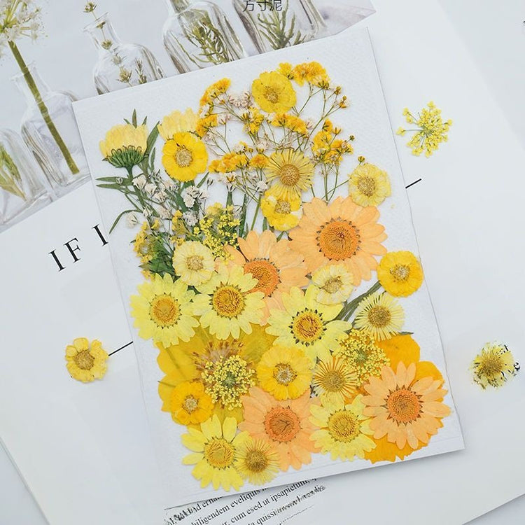 DIY dried flower craft set with pressed blooms