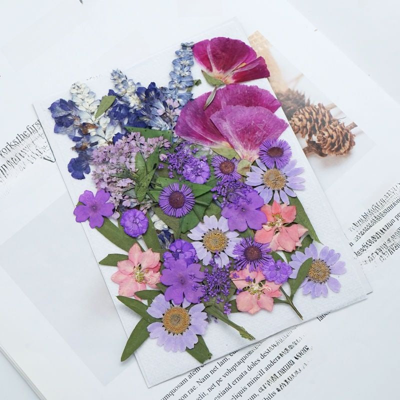 Kit DIY de manualidades con flores secas y adhesivo