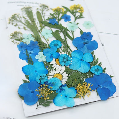 Kit DIY de manualidades con flores secas y adhesivo