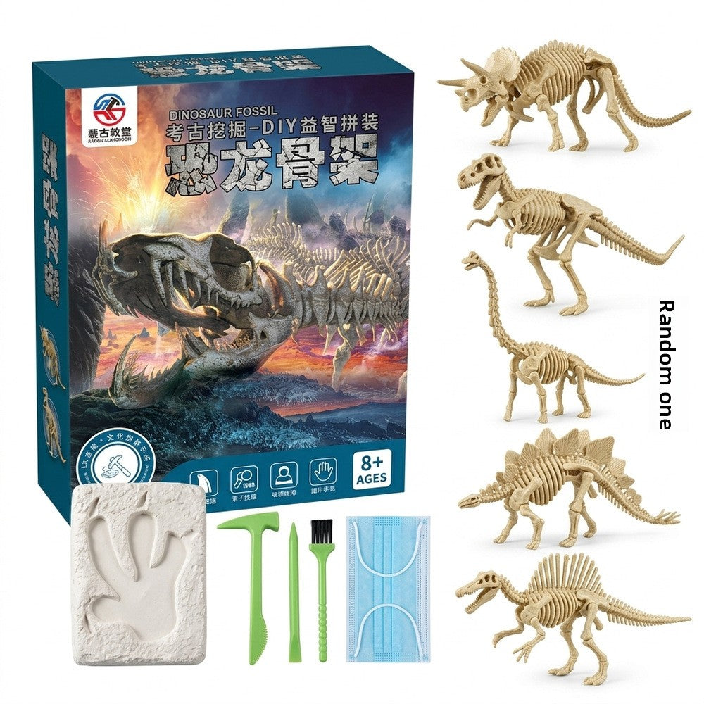 Dinosaur Fossil Dig Kit with Tools