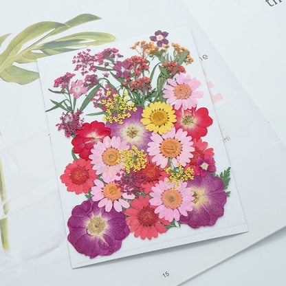 Kit DIY de manualidades con flores secas y adhesivo