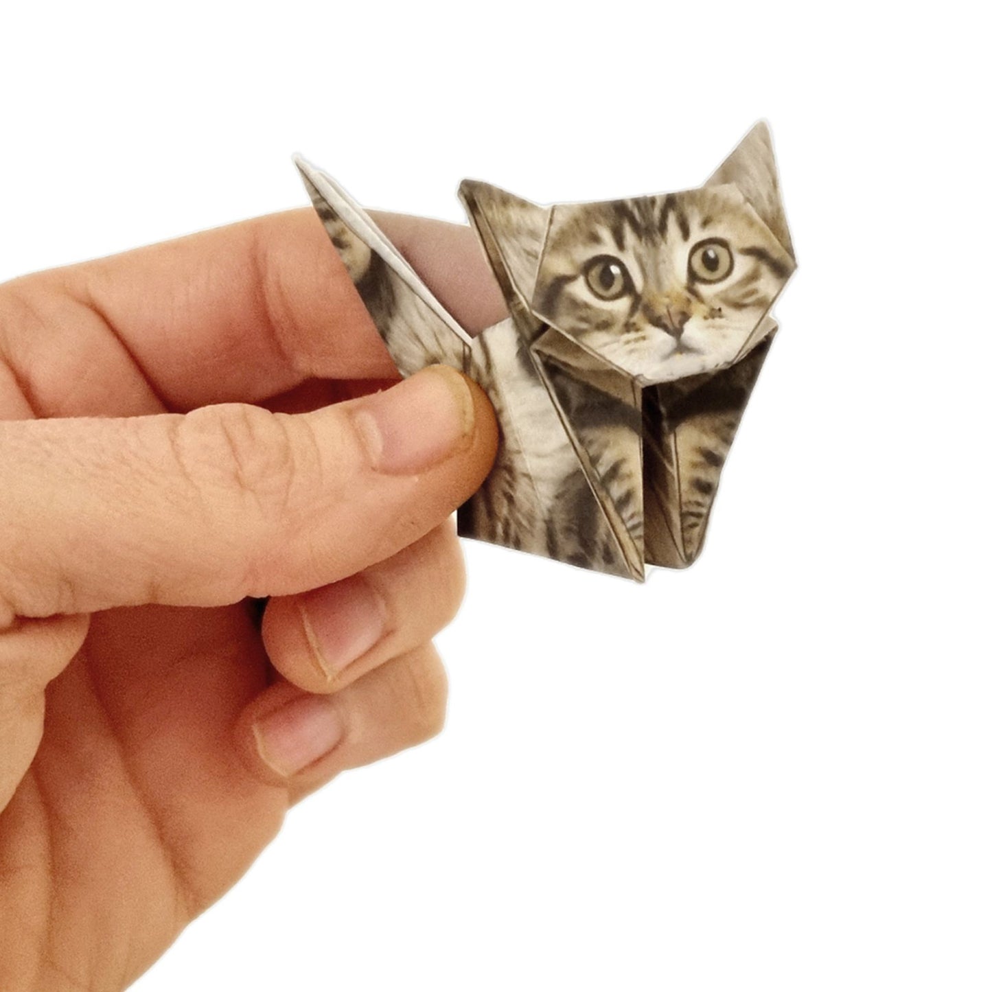 Paper Desk Pets Origami Kit: Fold-Your-Own Cats, Dogs, Cows, Dinos
