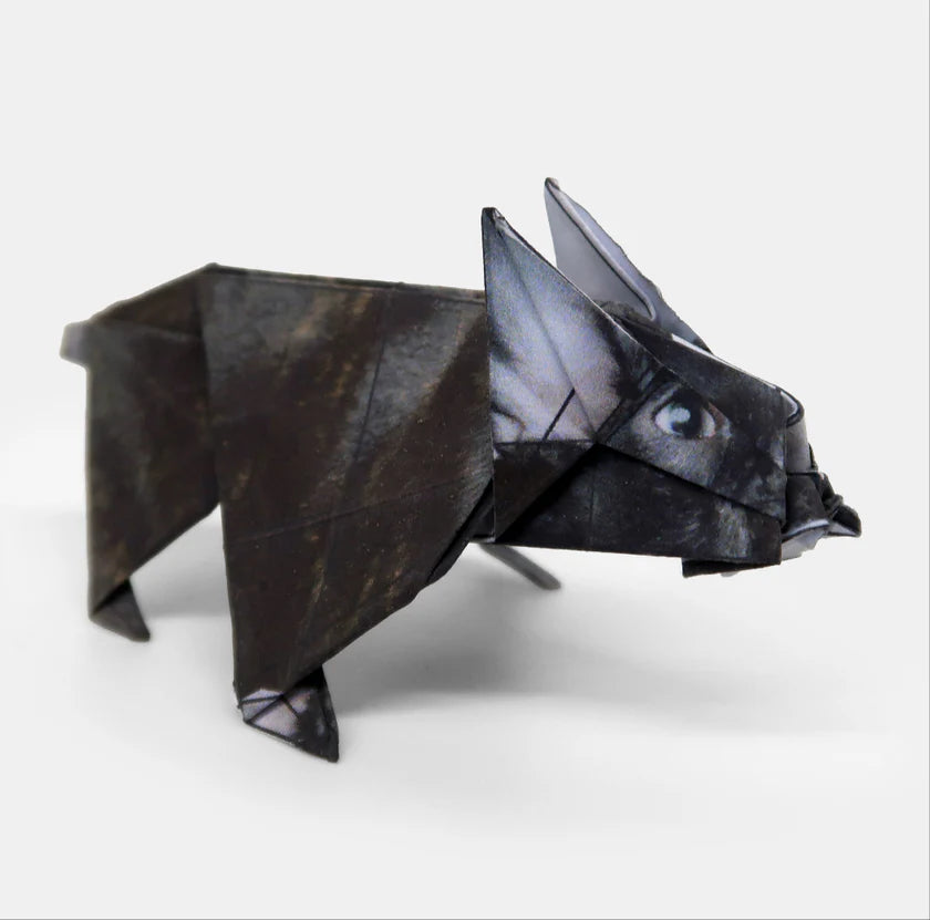 Paper Desk Pets Origami Kit: Fold-Your-Own Cats, Dogs, Cows, Dinos
