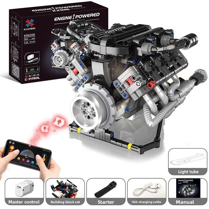 Programmable Remote-Control Block Robots